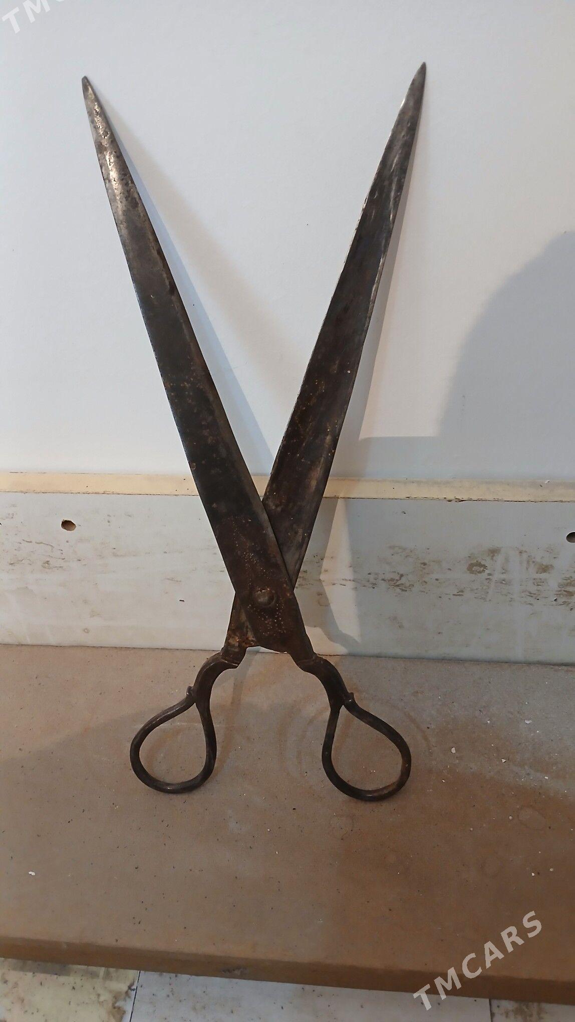 gaycy - Аркадаг - img 4