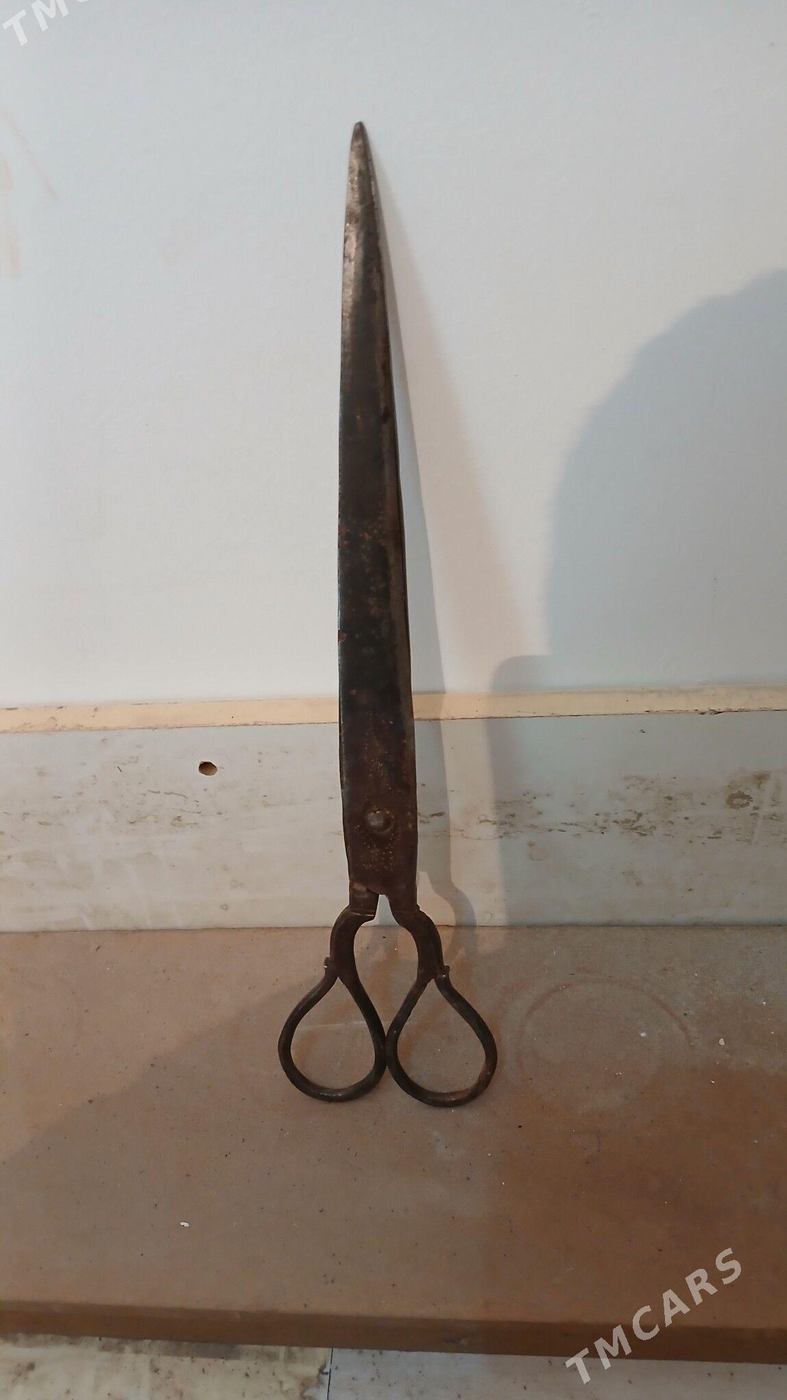 gaycy - Аркадаг - img 1