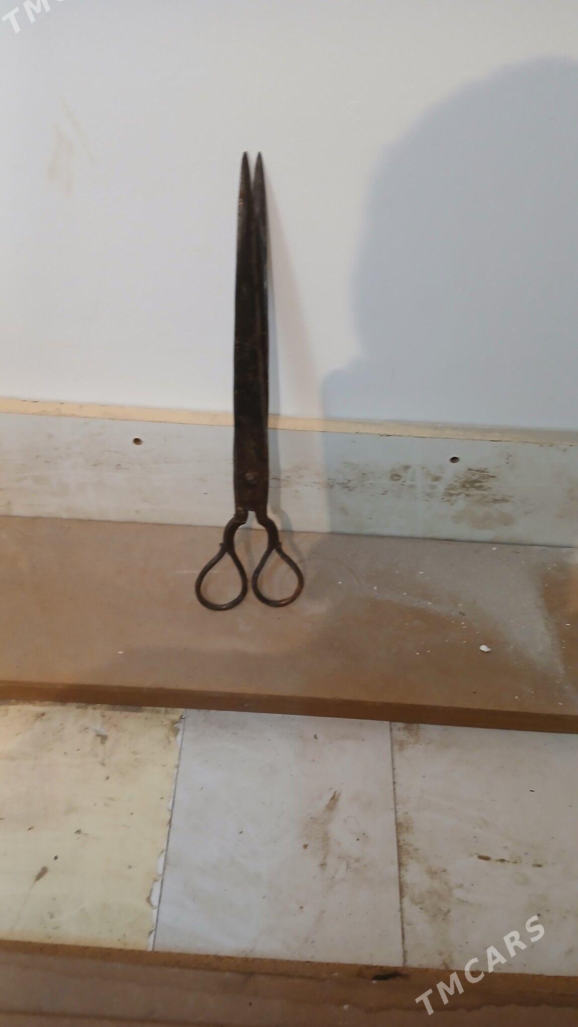 gaycy - Аркадаг - img 5