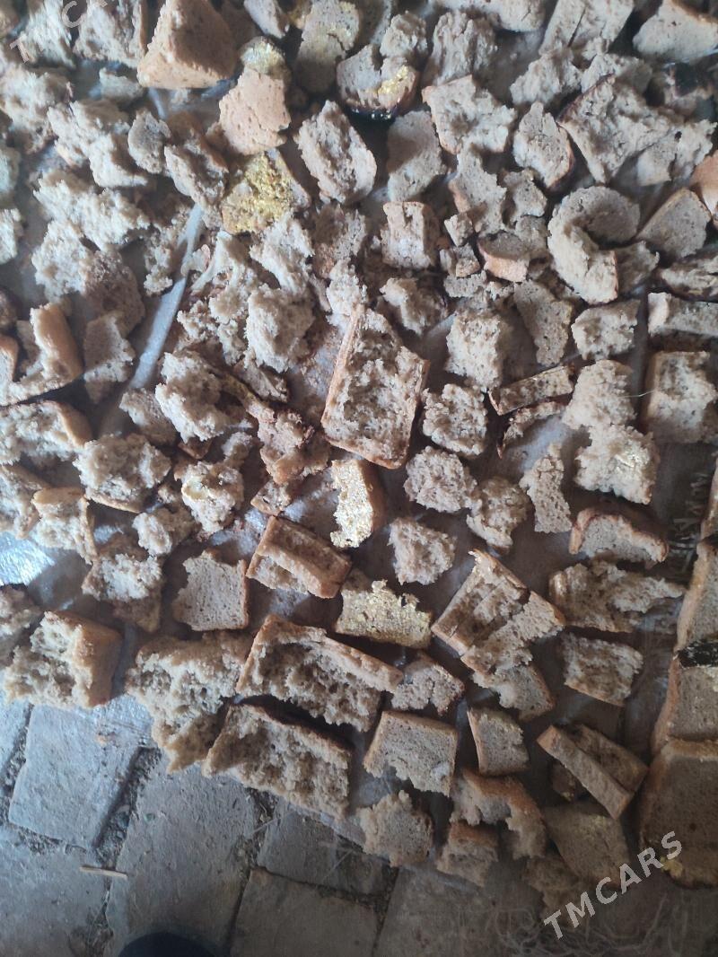 гурадылан чорек - Büzmeýin - img 1