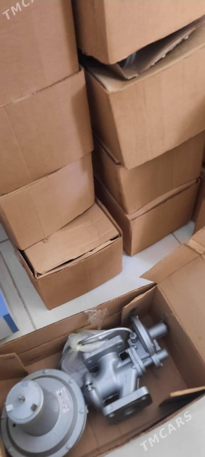 GAZ RDG ŞEPE - Mary - img 3