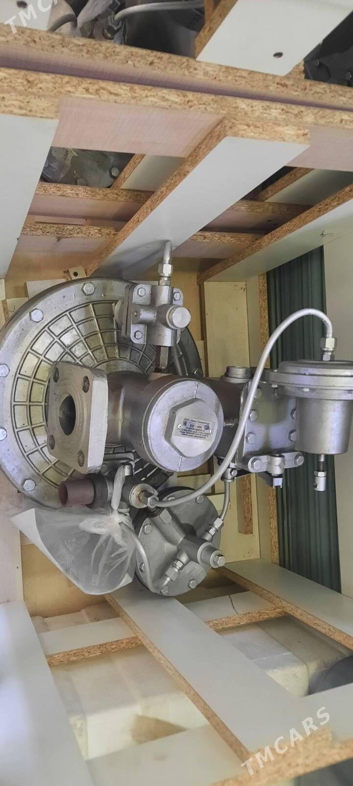 GAZ RDG ŞEPE - Mary - img 2