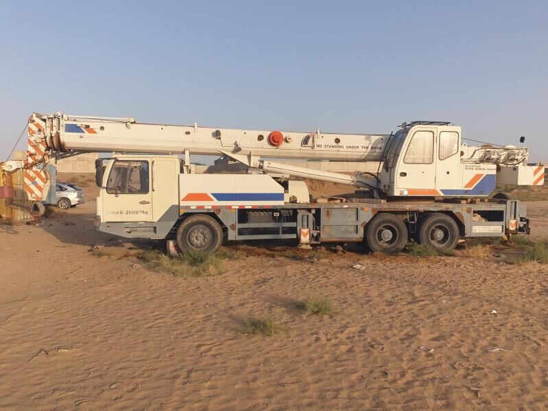 Zoomlion ZTC250V531 2013 - 900 000 TMT - Ак-Бугдайский этрап - img 9