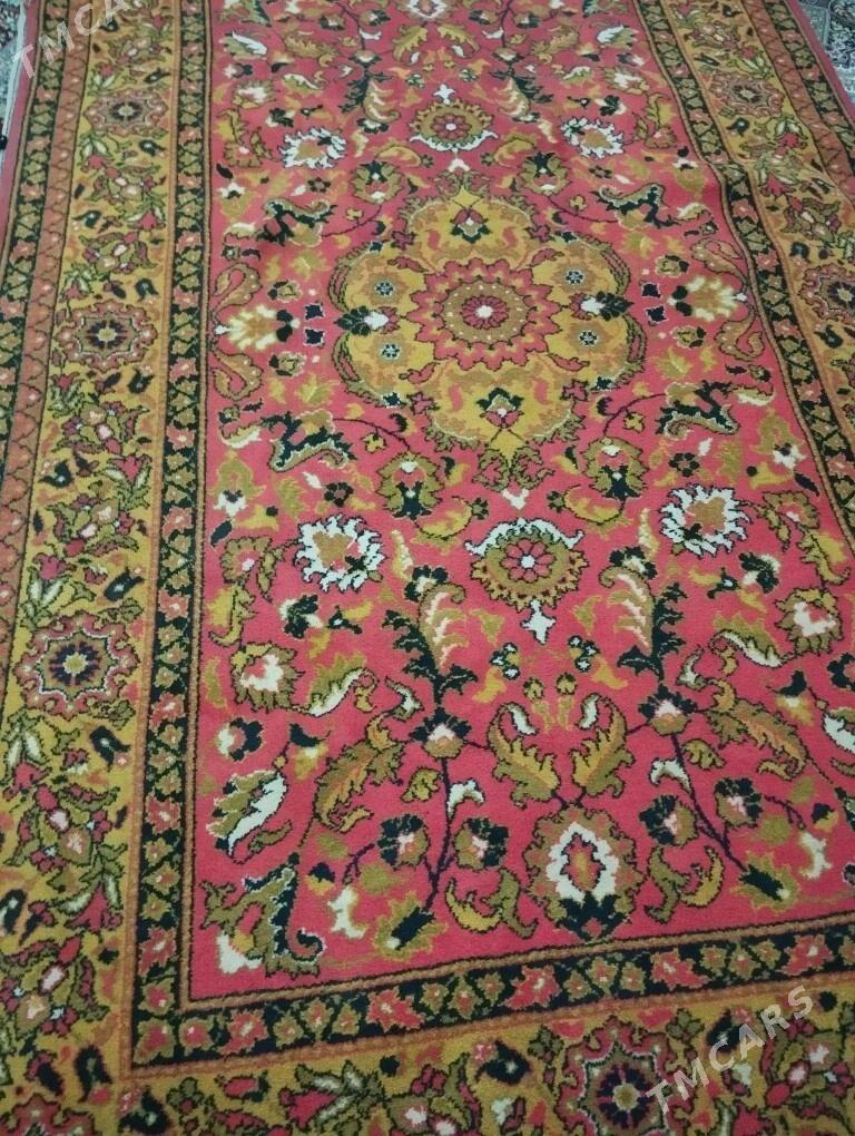 Haly - Balkanabat - img 2