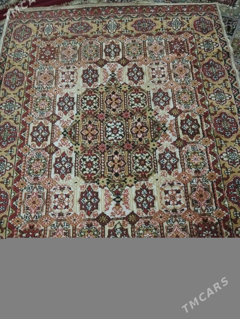 Haly - Balkanabat - img 2