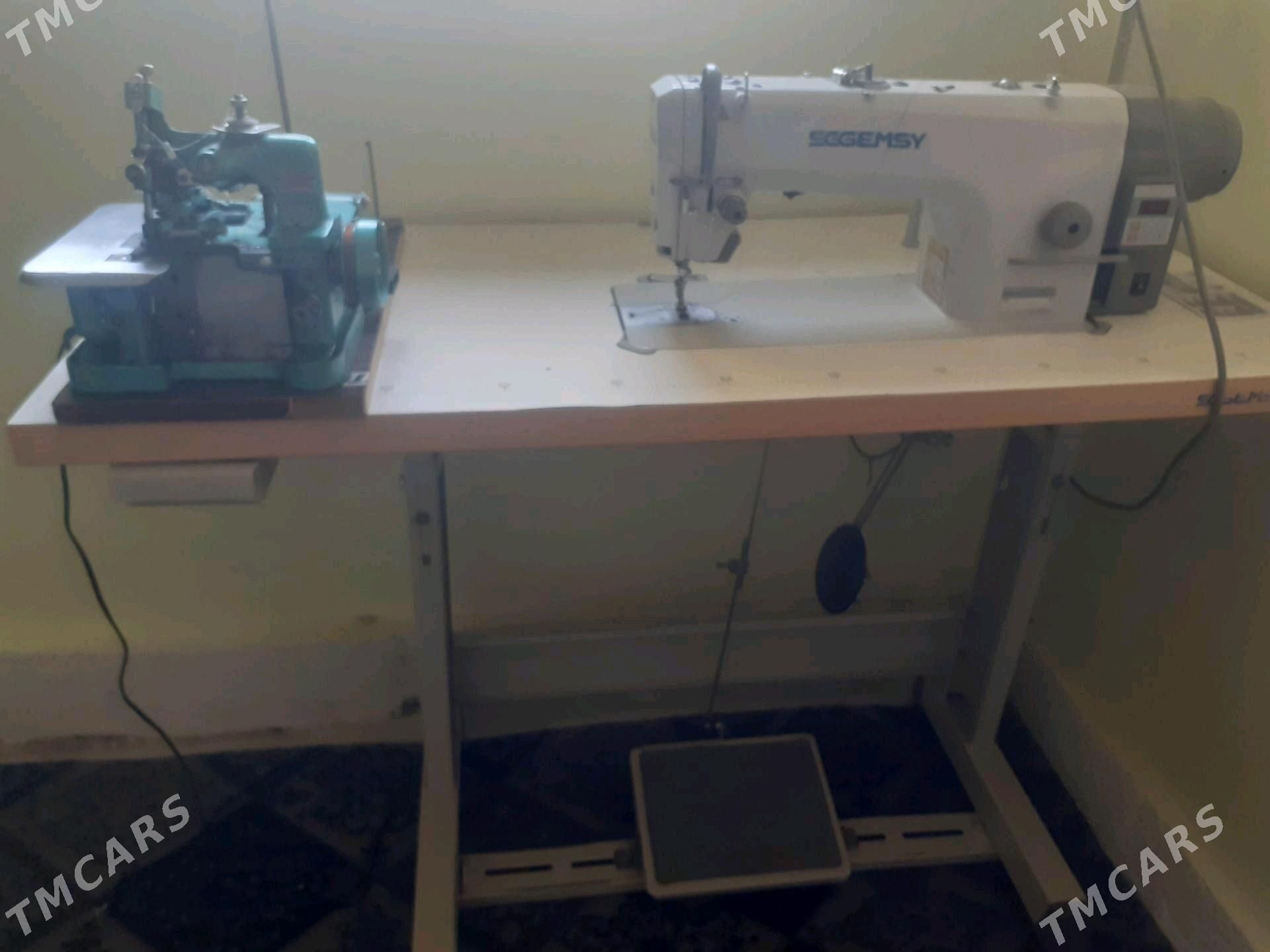 Gemsi dikin maşyn - Aşgabat - img 1