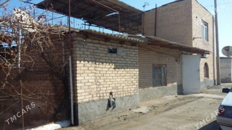 Kotej daca - Туркменабат - img 4