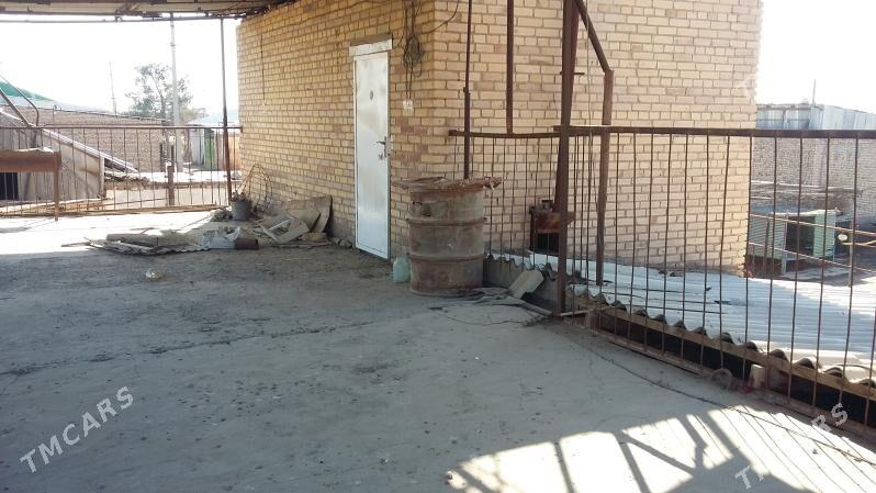 Kotej daca - Туркменабат - img 1