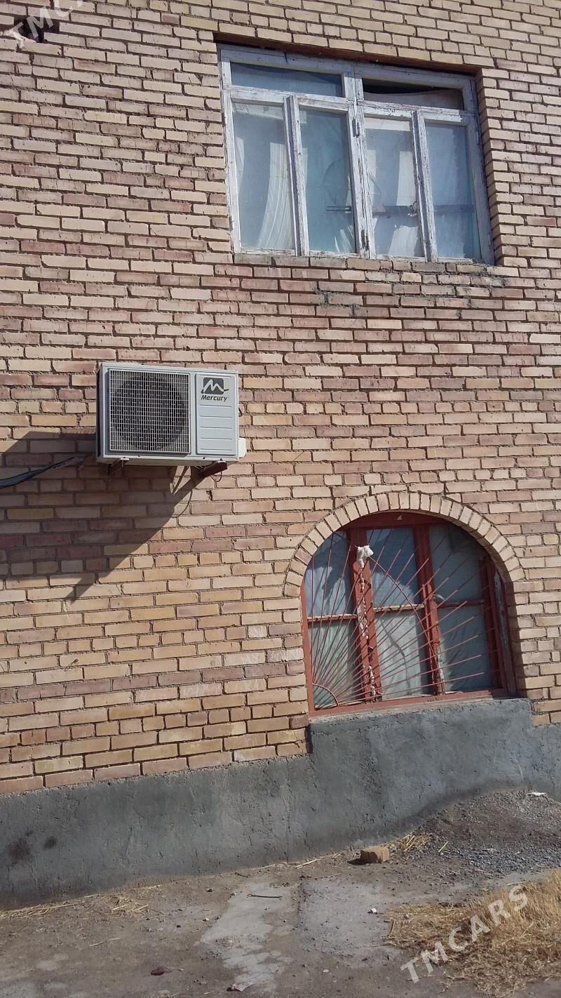 Kotej daca - Туркменабат - img 3