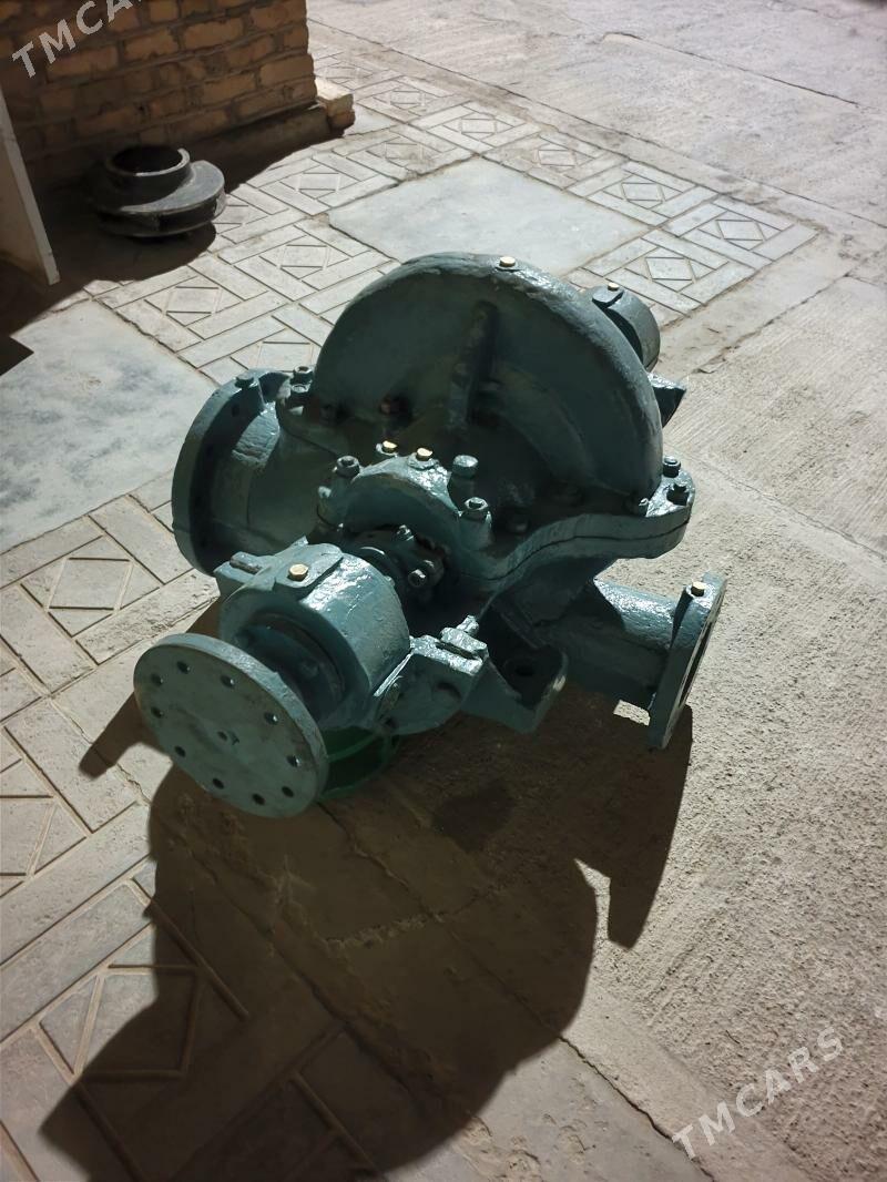 nasos - Mary - img 1