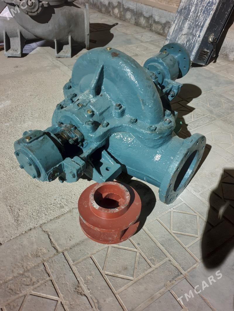 nasos - Mary - img 2