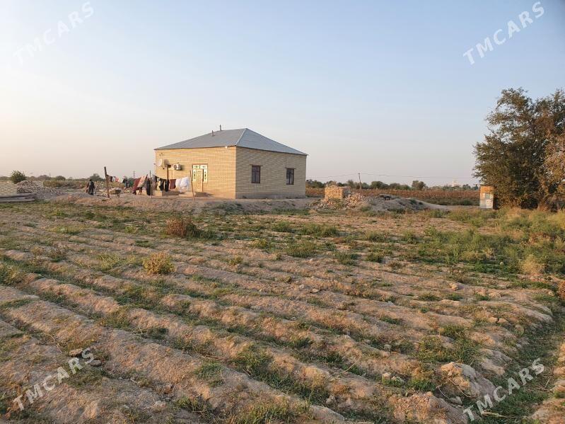 Jay - Мары - img 3