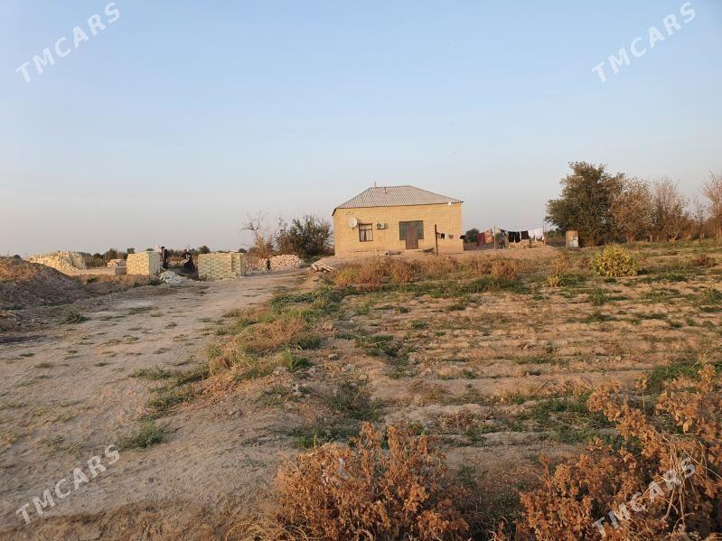 Jay - Мары - img 1