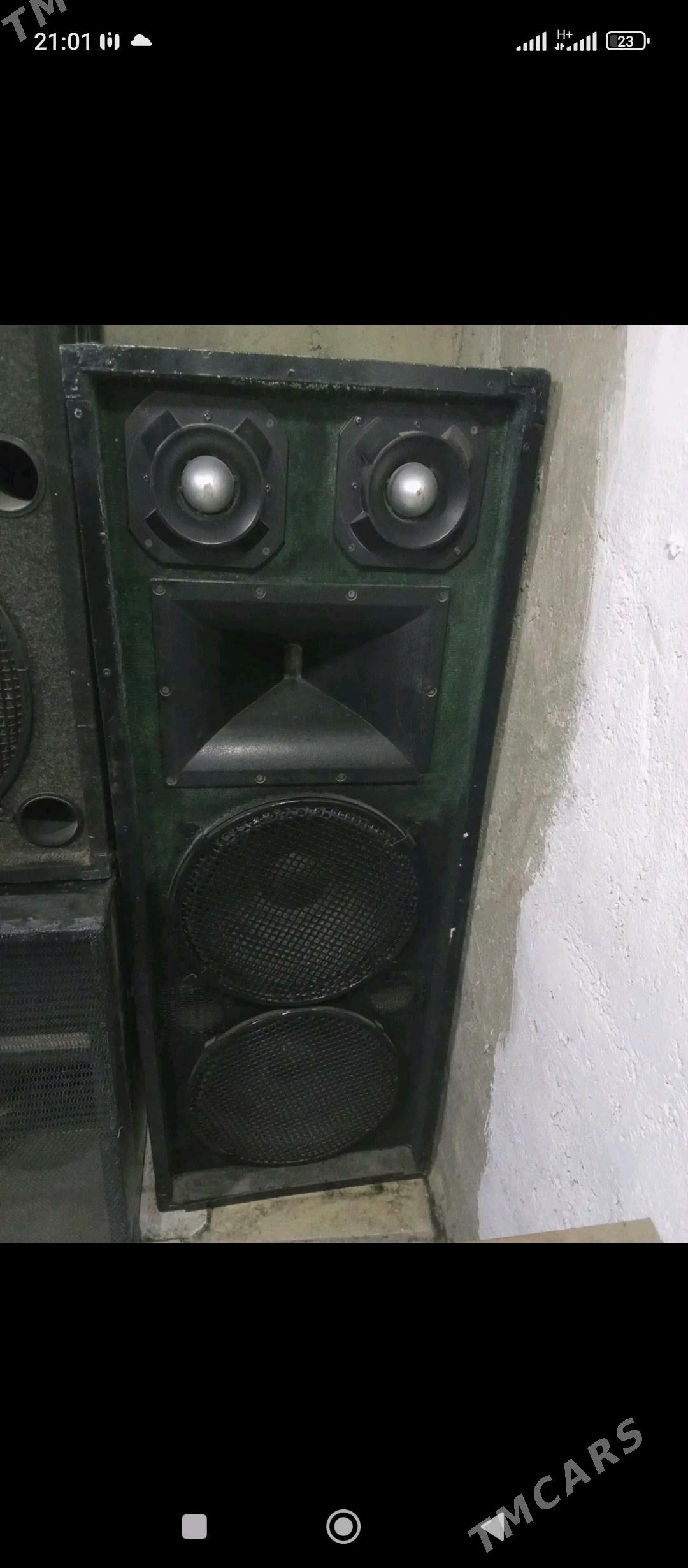 toy kalonka - Ашхабад - img 6