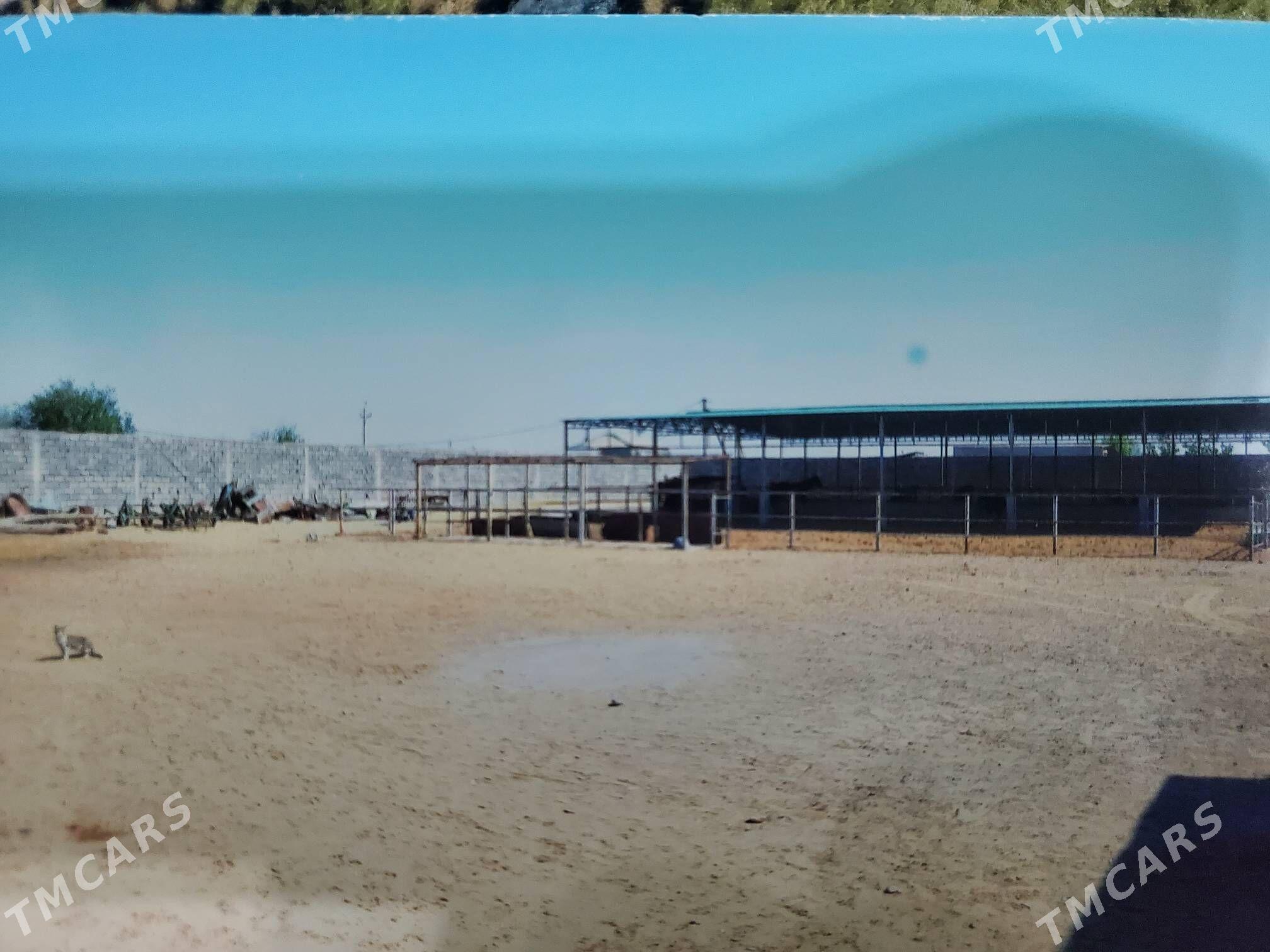 mal yatak (ferma) - Ак-Бугдайский этрап - img 5