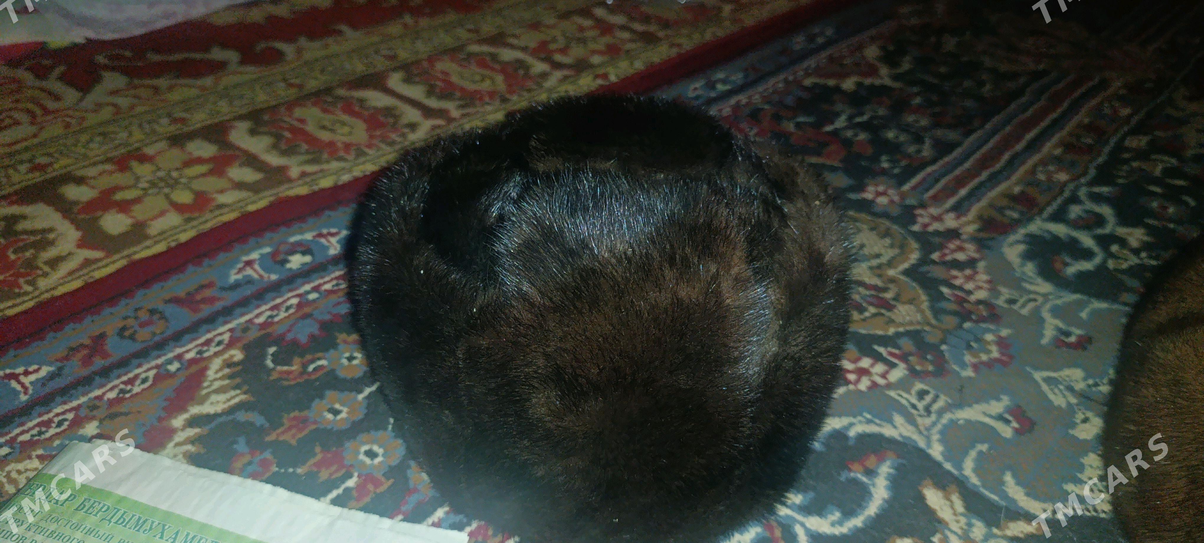 НОРКА ПАПАК - Болдумсаз - img 1