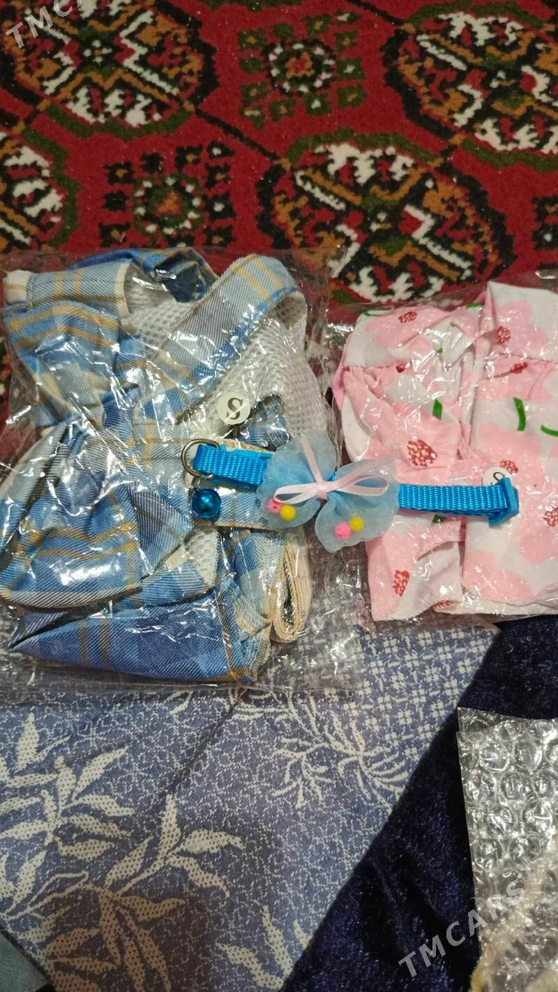 Вещи - Ашхабад - img 3