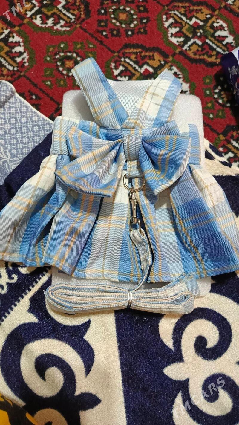 Вещи - Ашхабад - img 2