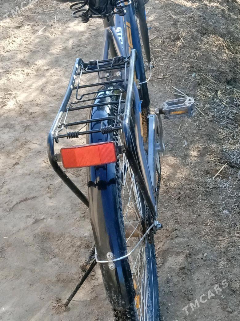 welosiped - Gurbansoltan Eje - img 2