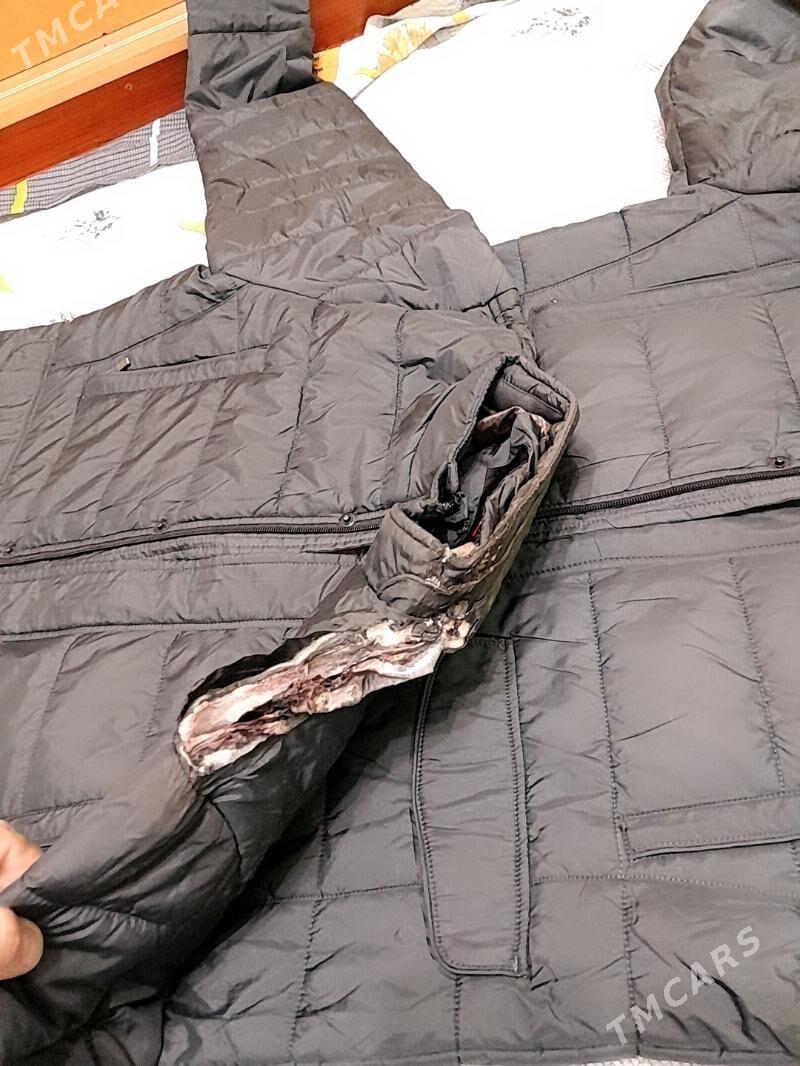 doly okañ arzan kurtga gyssagl - Мир 4 - img 2