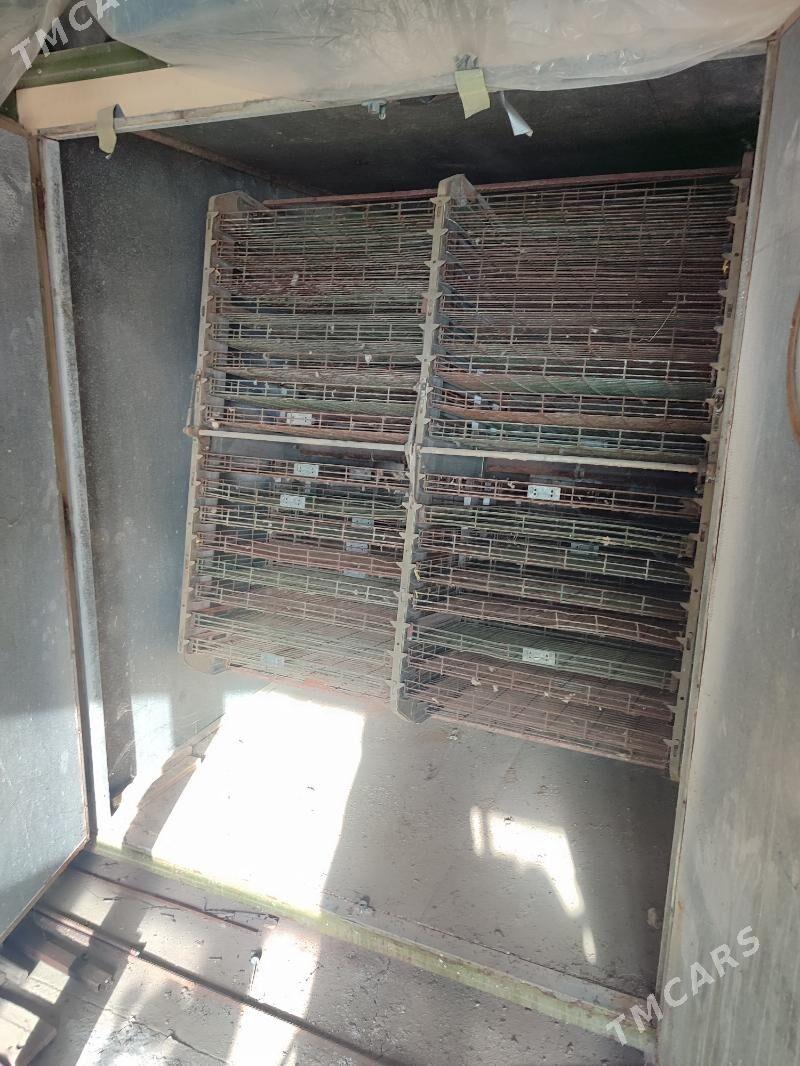 Inkubator - Мары - img 1