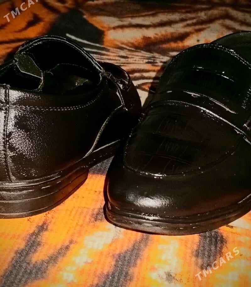 Masimo Duti - Ak bugdaý etraby - img 1