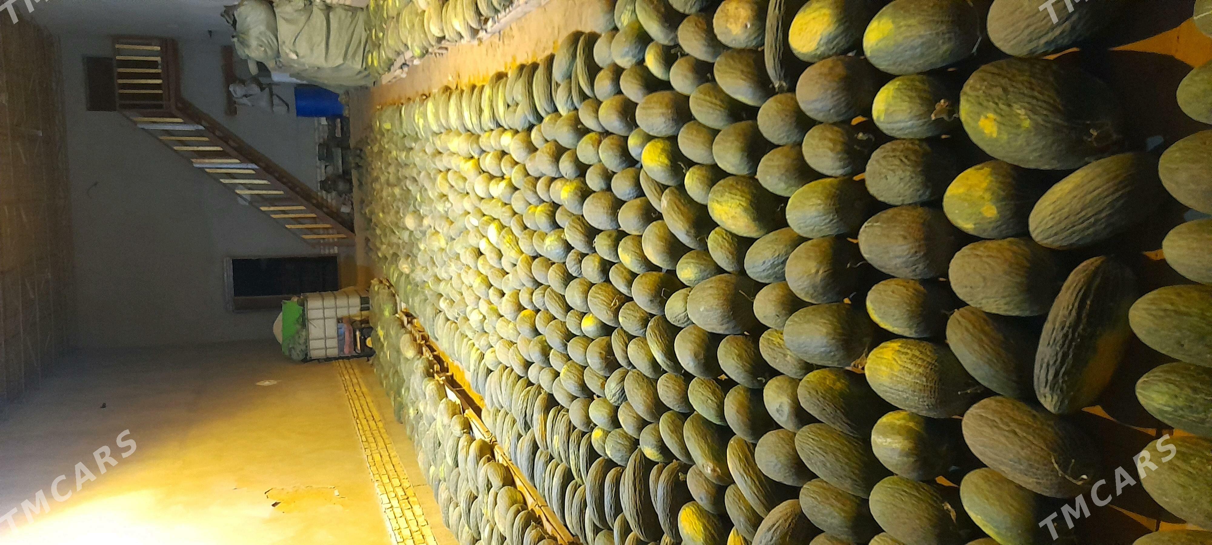 Gawun gara - Шабатский этрап - img 3