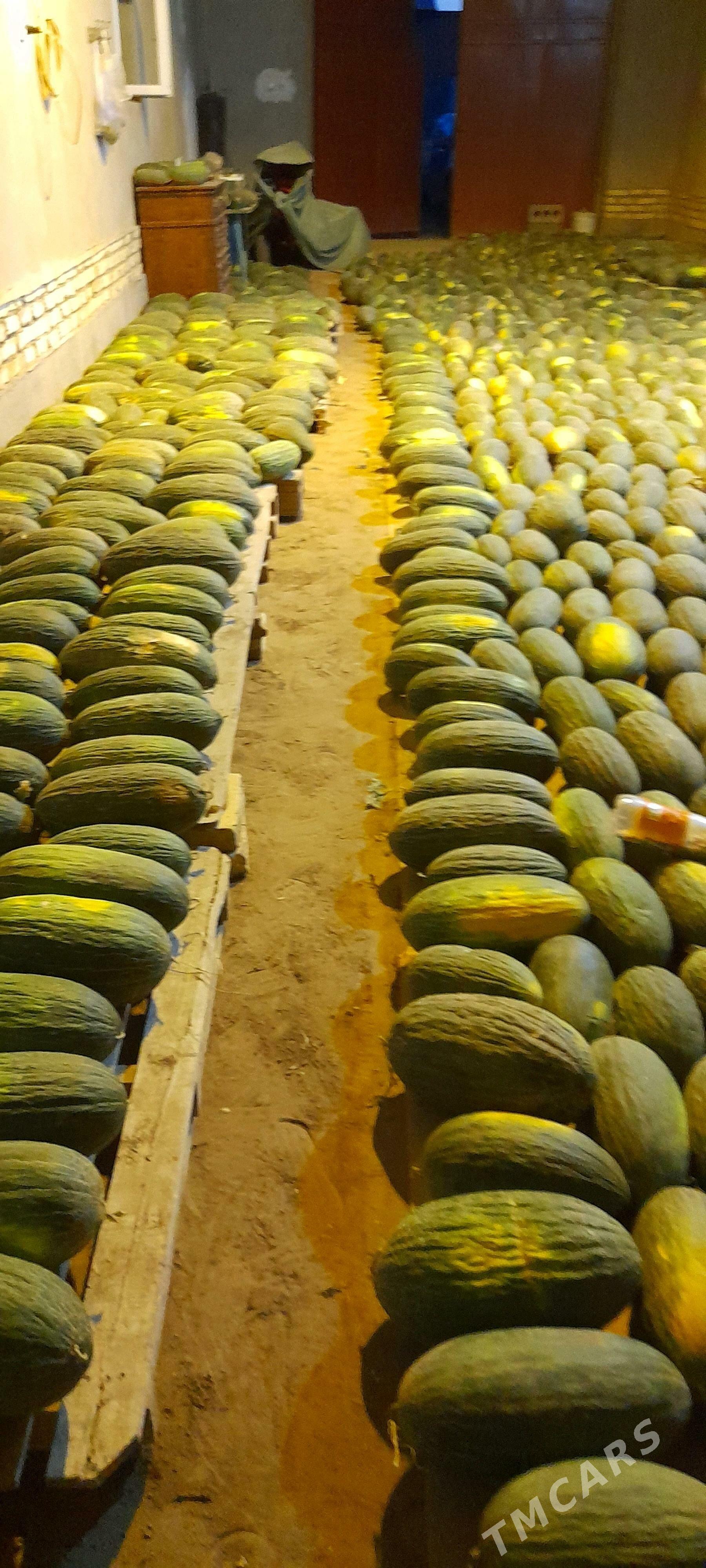 Gawun gara - Шабатский этрап - img 4