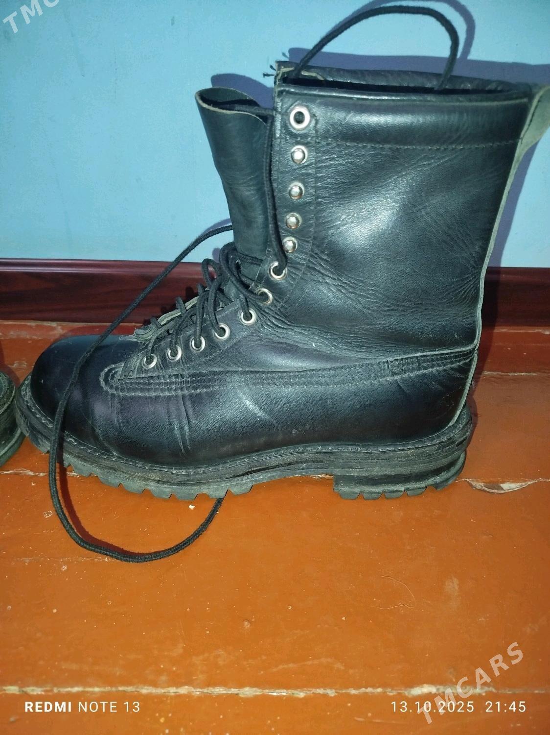 sapok germanskiy - Дашогуз - img 1