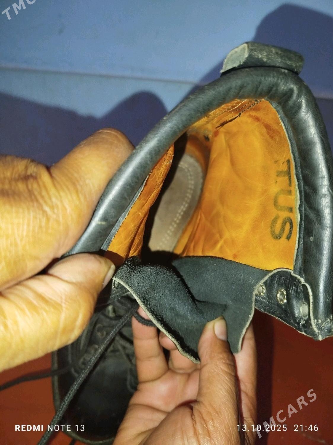 sapok germanskiy - Дашогуз - img 2