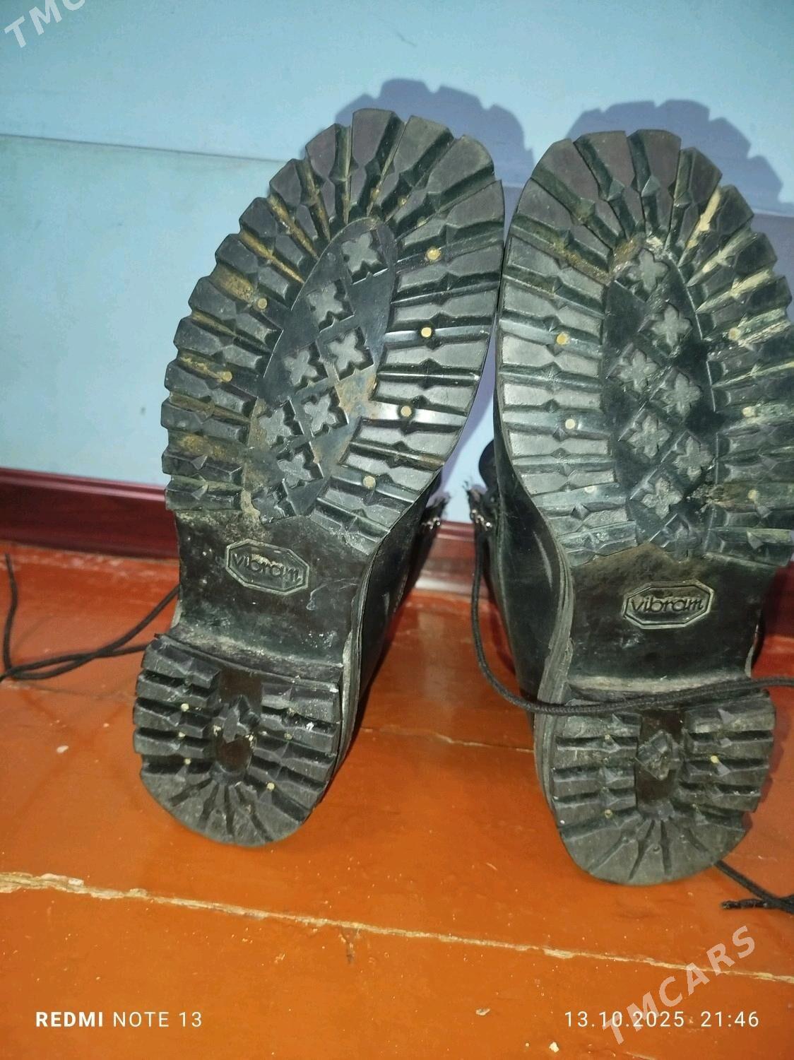 sapok germanskiy - Дашогуз - img 3