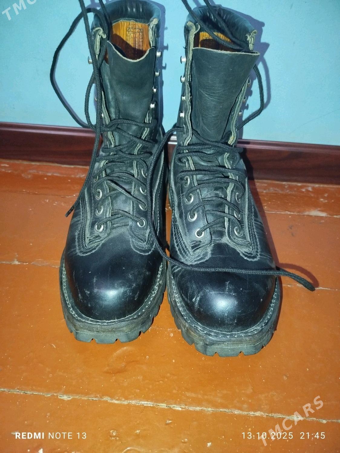 sapok germanskiy - Дашогуз - img 4