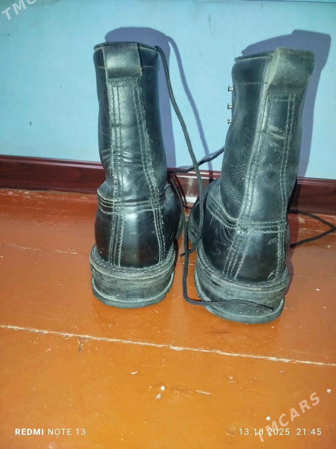 sapok germanskiy - Дашогуз - img 5