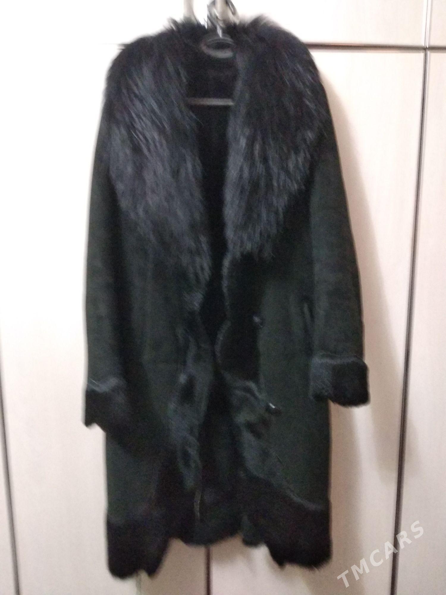 Dublonka - Ашхабад - img 1