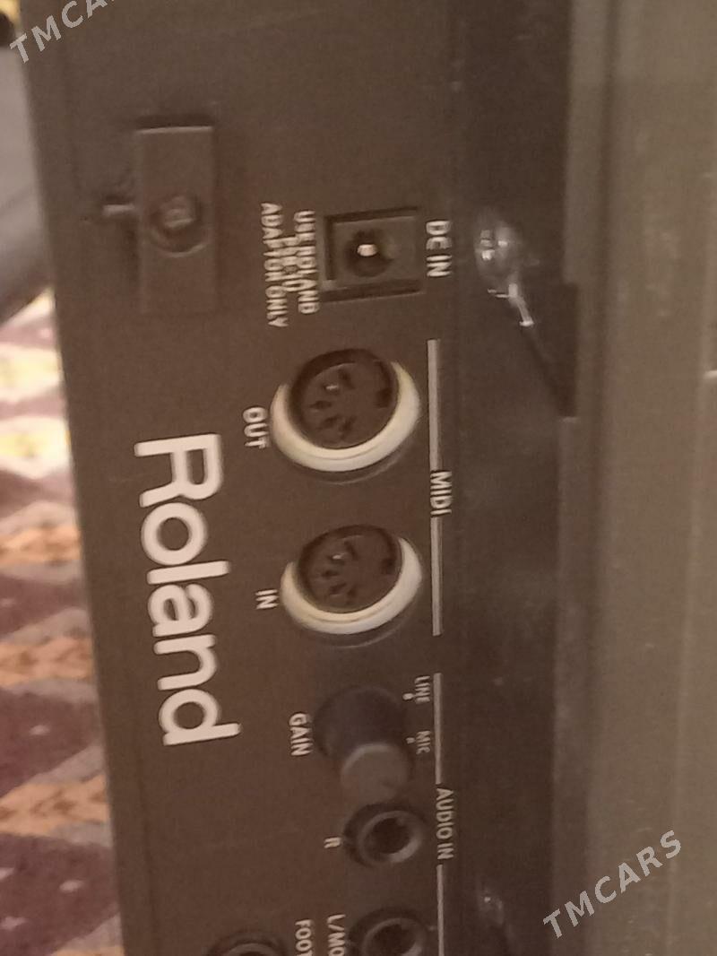 selpal baraban - Tagtabazar - img 1