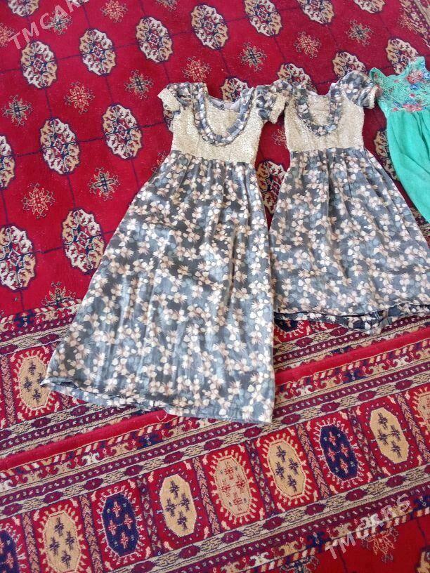 koynek - Murgap - img 3