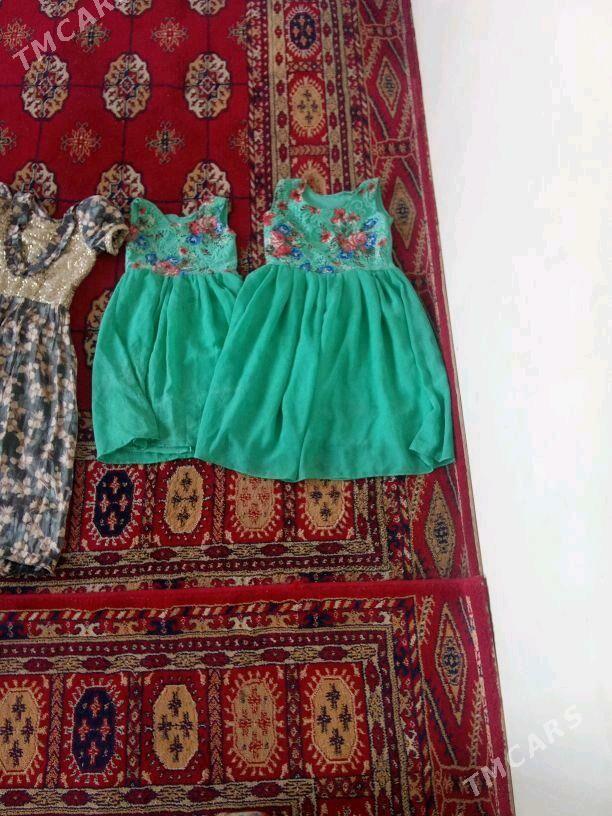 koynek - Murgap - img 2