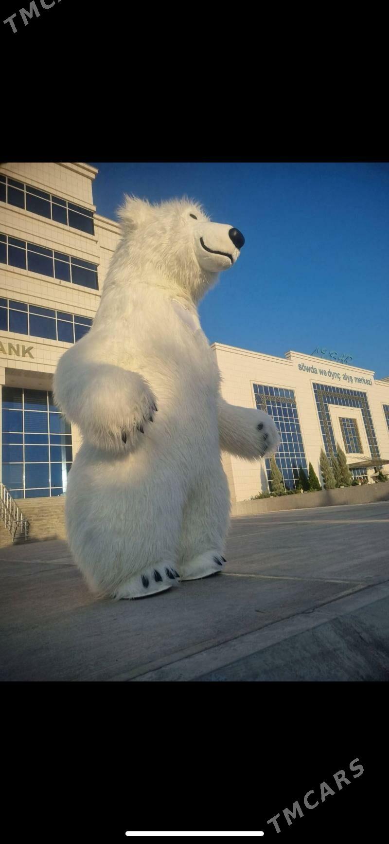 Ak Aýy Mişka - Aşgabat - img 3