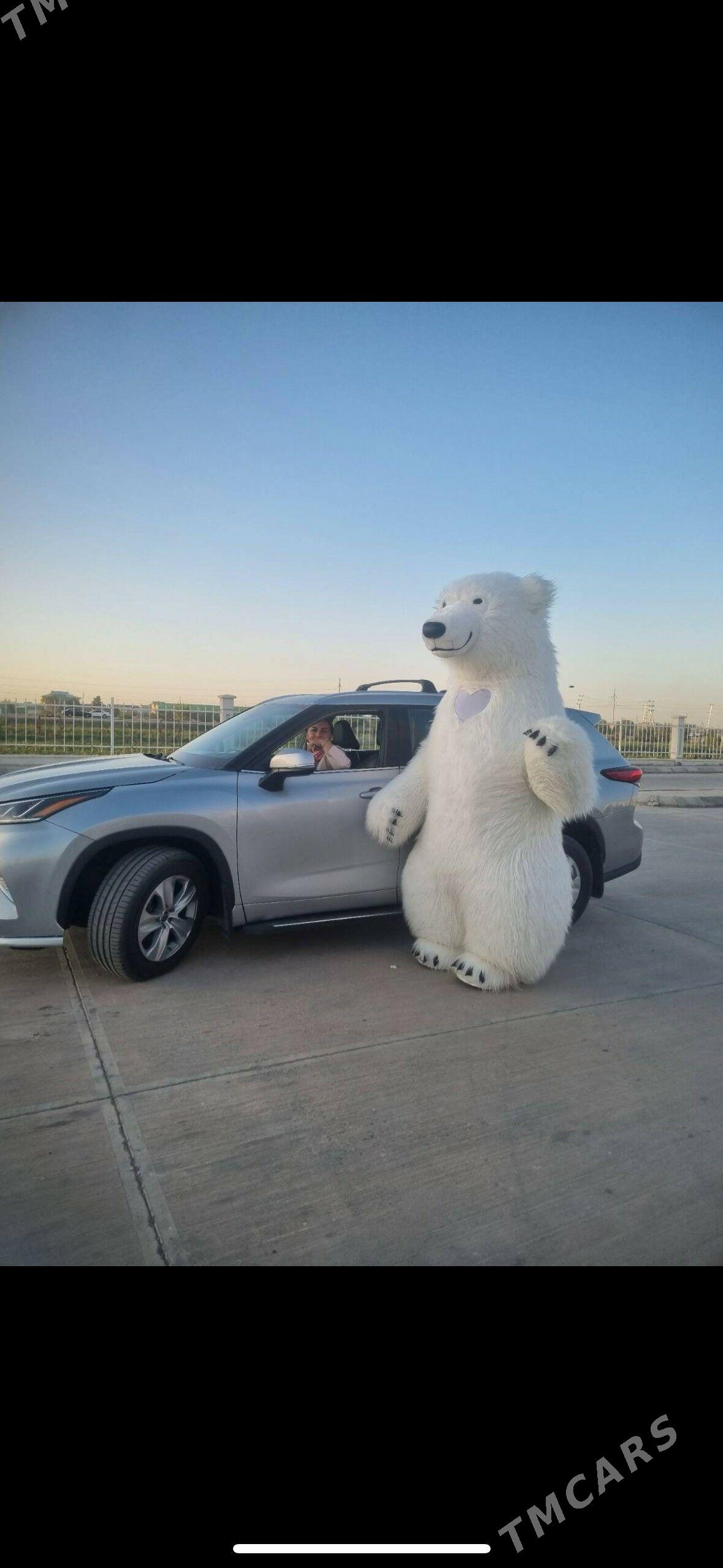 Ak Aýy Mişka - Aşgabat - img 2