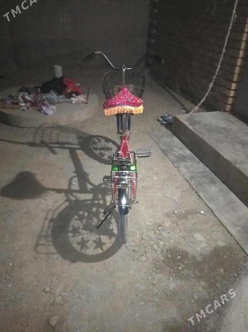 kama tigir - Tejen - img 2