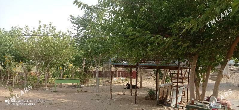 Продаю Дачу ферму - Aşgabat - img 3