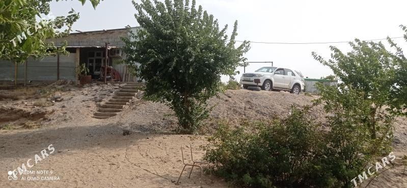 Продаю Дачу ферму - Aşgabat - img 4