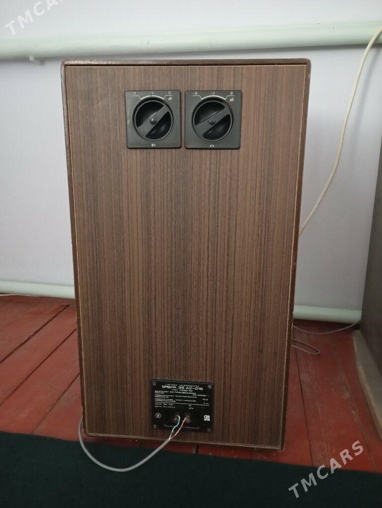 kolonka - Şabat etr. - img 1