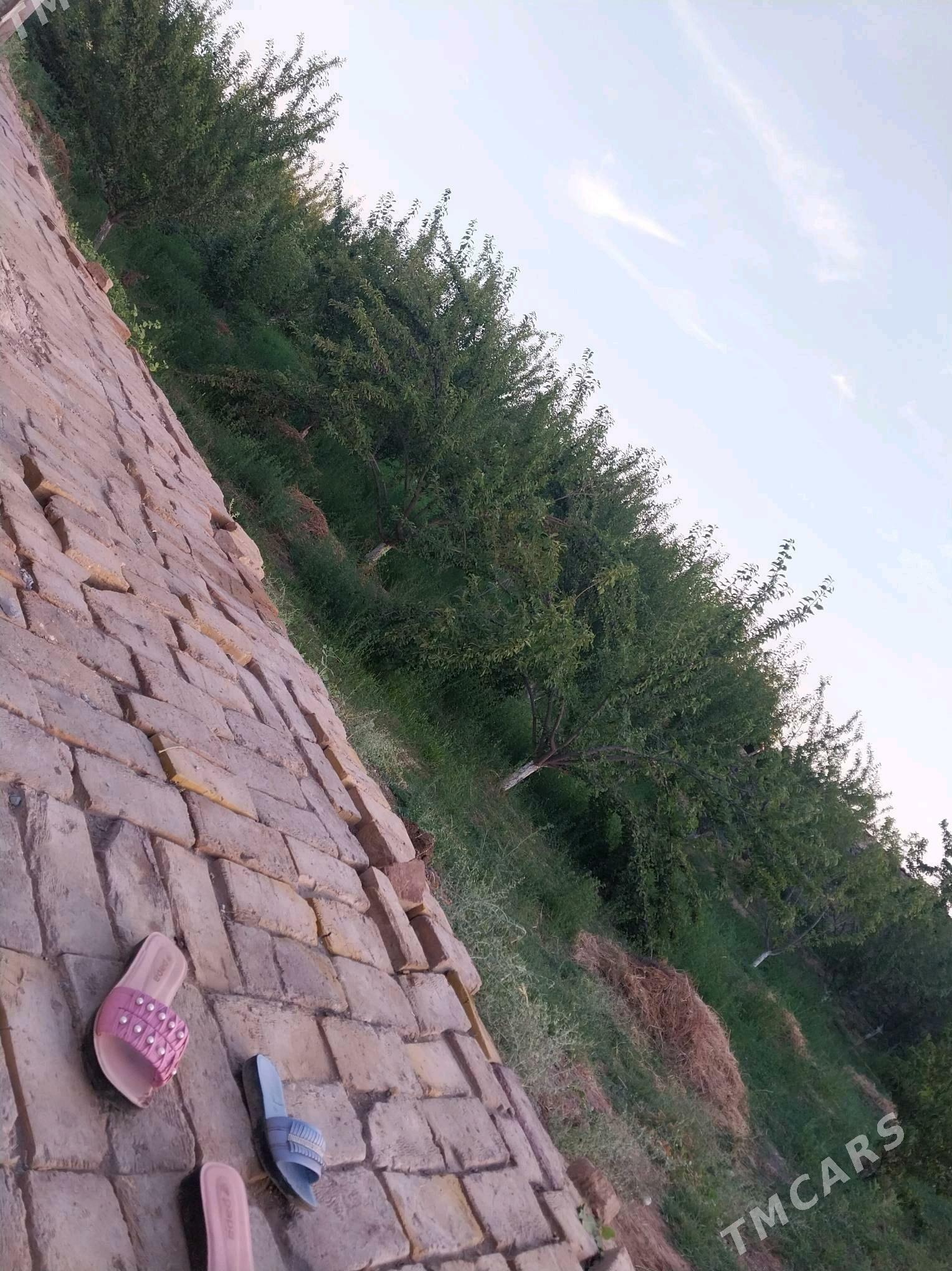 Sayat mellek jay - Саят - img 4