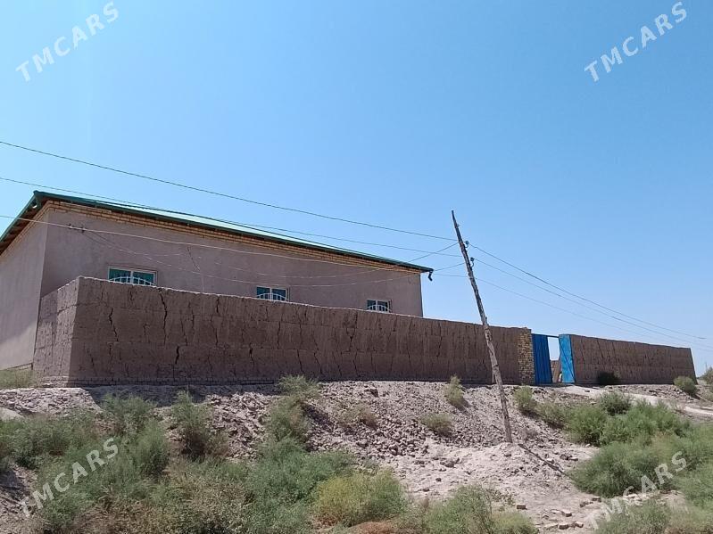 ucaska jay kiza kalhoda - Daşoguz - img 9