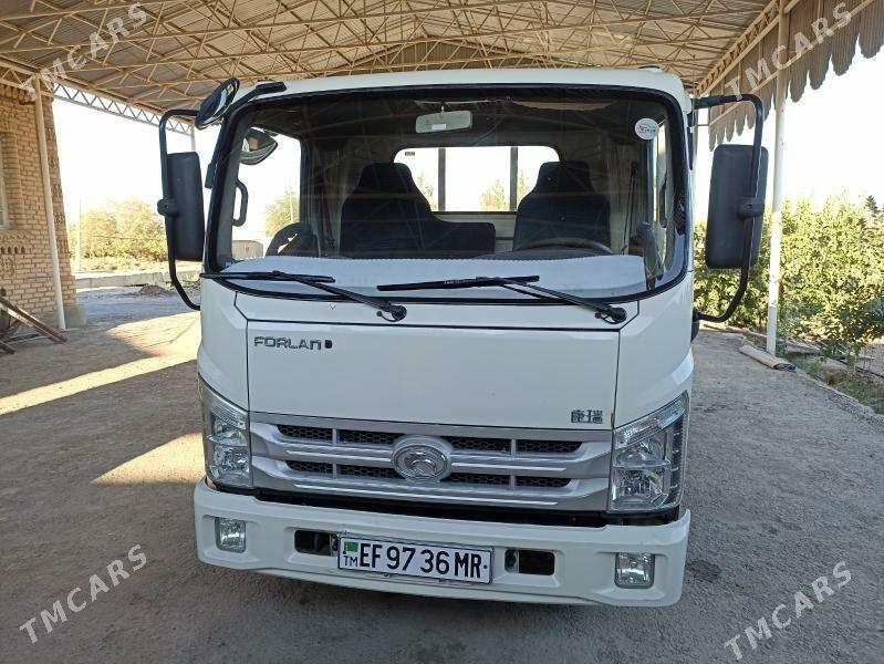 Forland H2 2016 - 260 000 TMT - Мургап - img 2