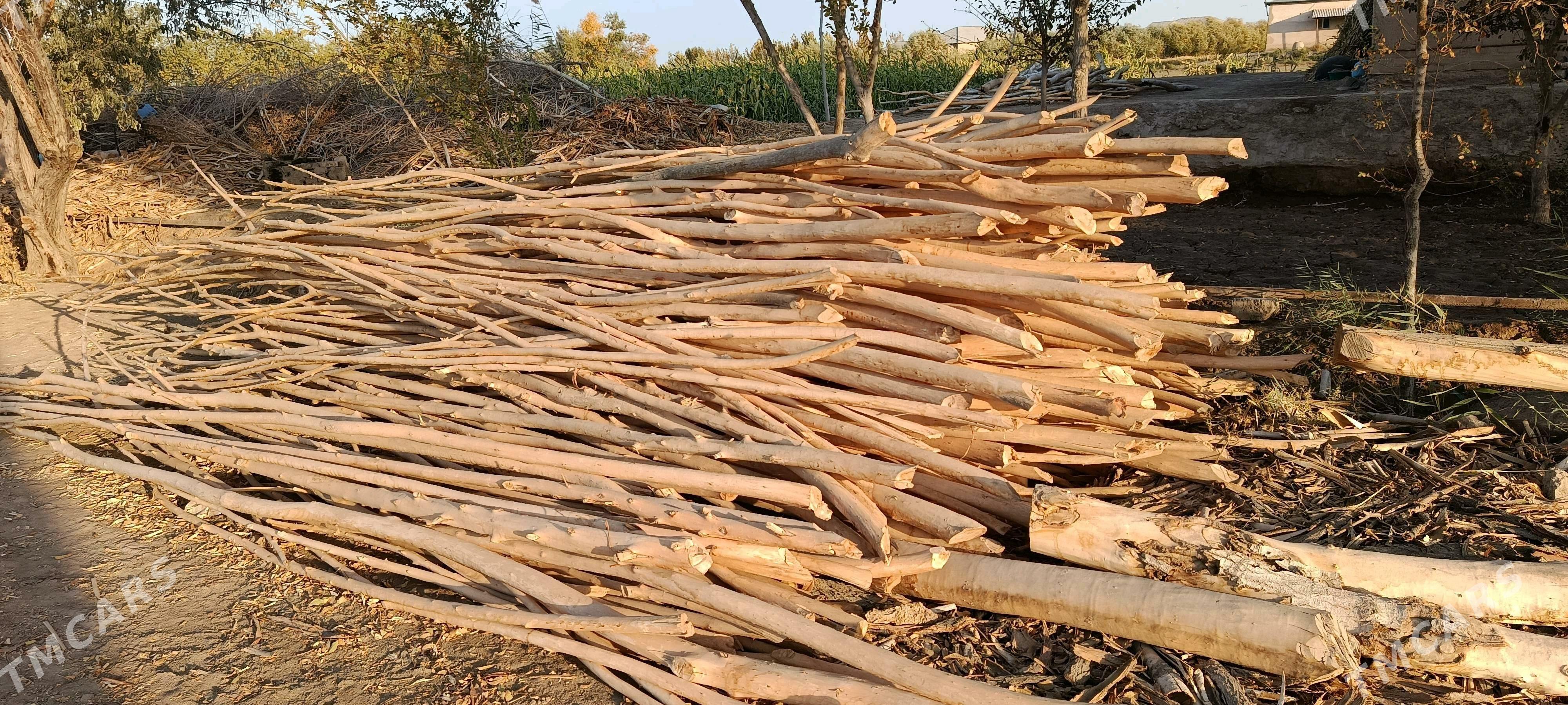 hada - Гурбансолтан Едже - img 1