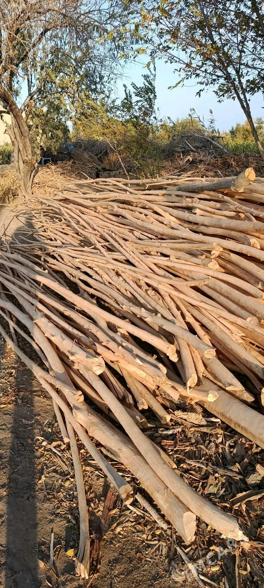 hada - Гурбансолтан Едже - img 3