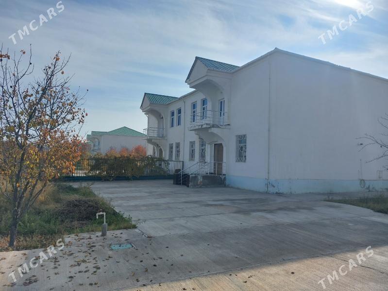 Taze zaman kates - Тязе заман - img 2