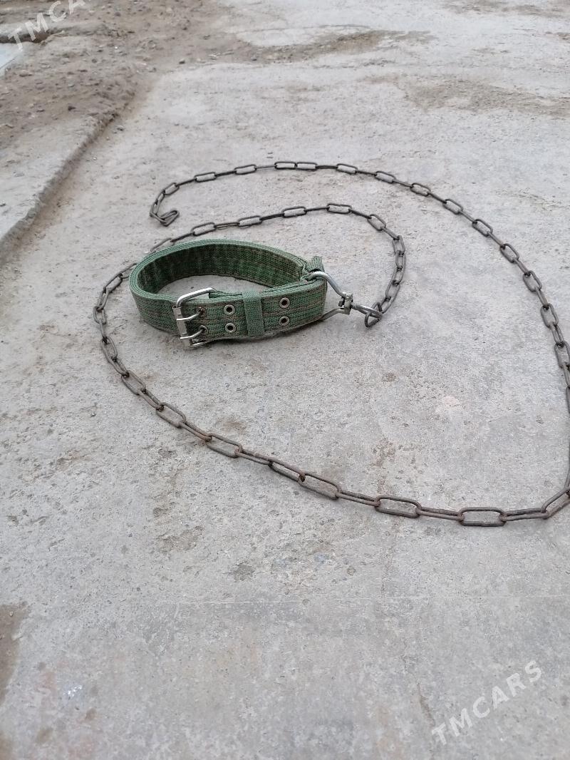 зинджир - Daşoguz - img 1